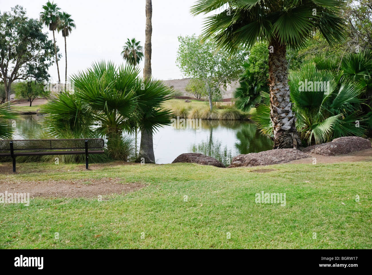 City park bench pond hi-res stock photography and images - Alamy