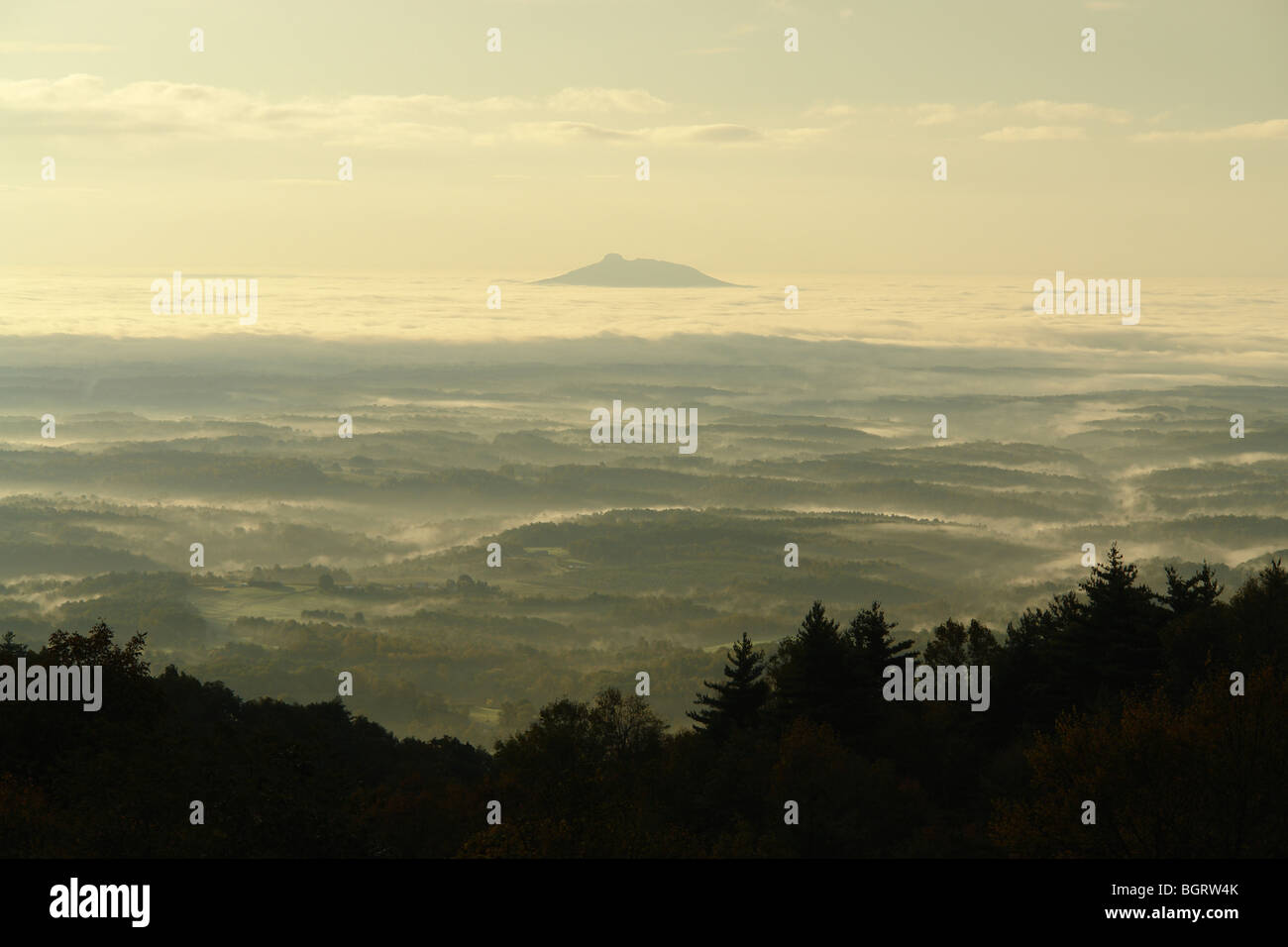 AJD62858, VA/NC Virginia, Pilot Mountain, Piedmont of North Carolina