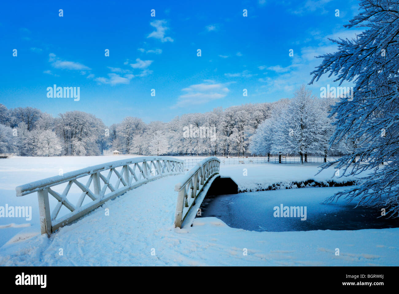 Beautiful winter landscape in the Netherlands ( Elswout Overveen) Stock Photo