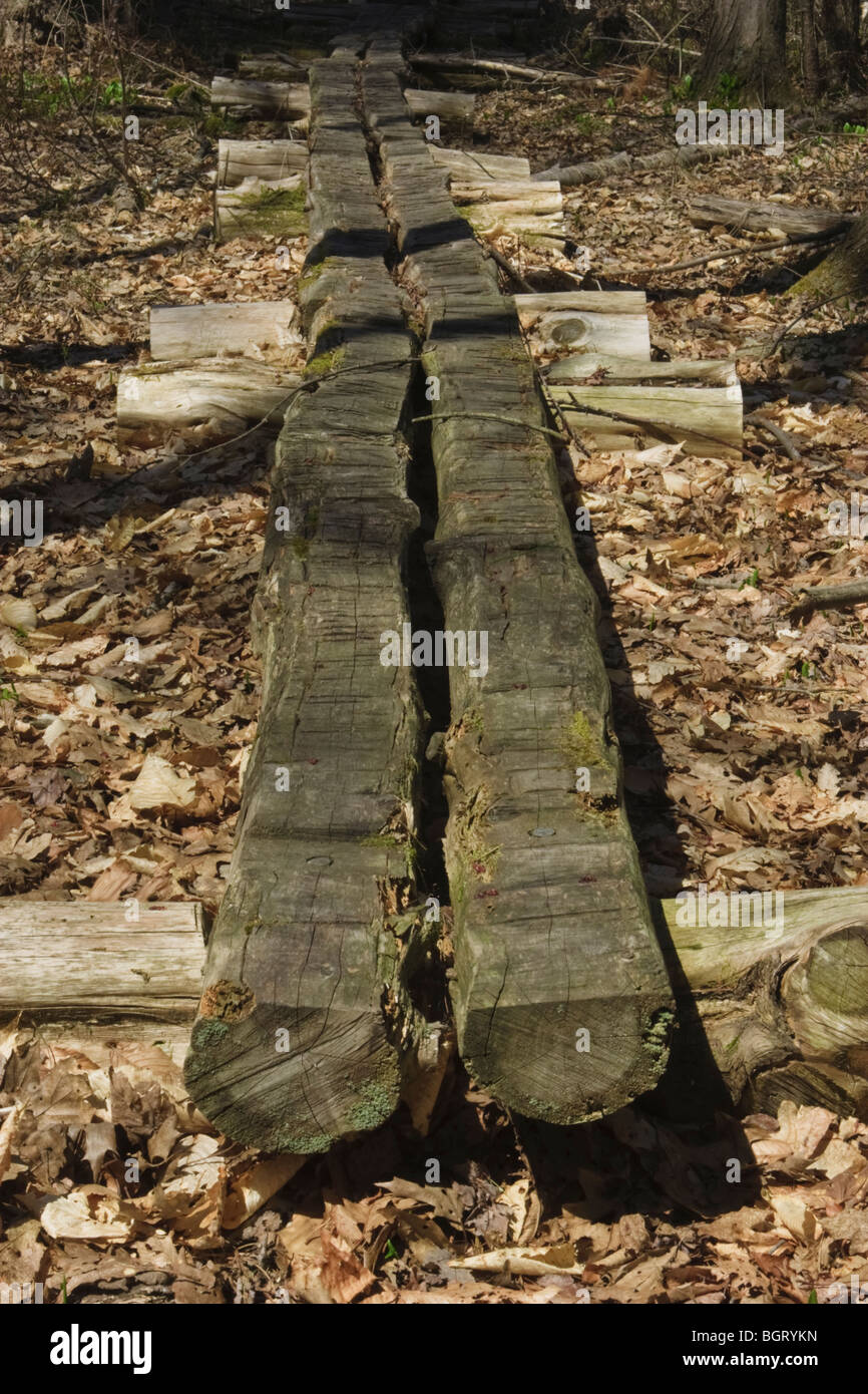 Old wooden railroad bridge over hi-res stock photography and images - Alamy