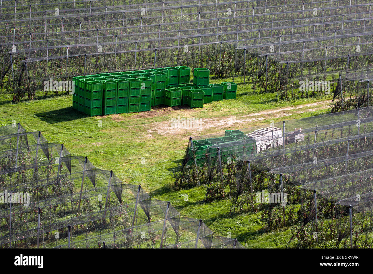 Side view from above on the large apple orchard with some crates and boxes in the middle. Stock Photo