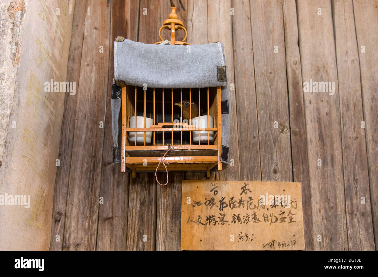 Bird in a birdcage. Hongcun. Anhui province, China. Stock Photo