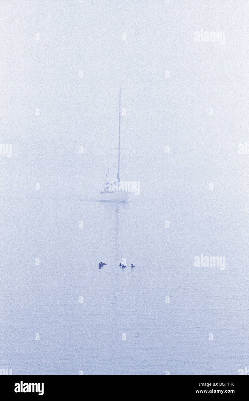 sailboat in fog Stock Photo