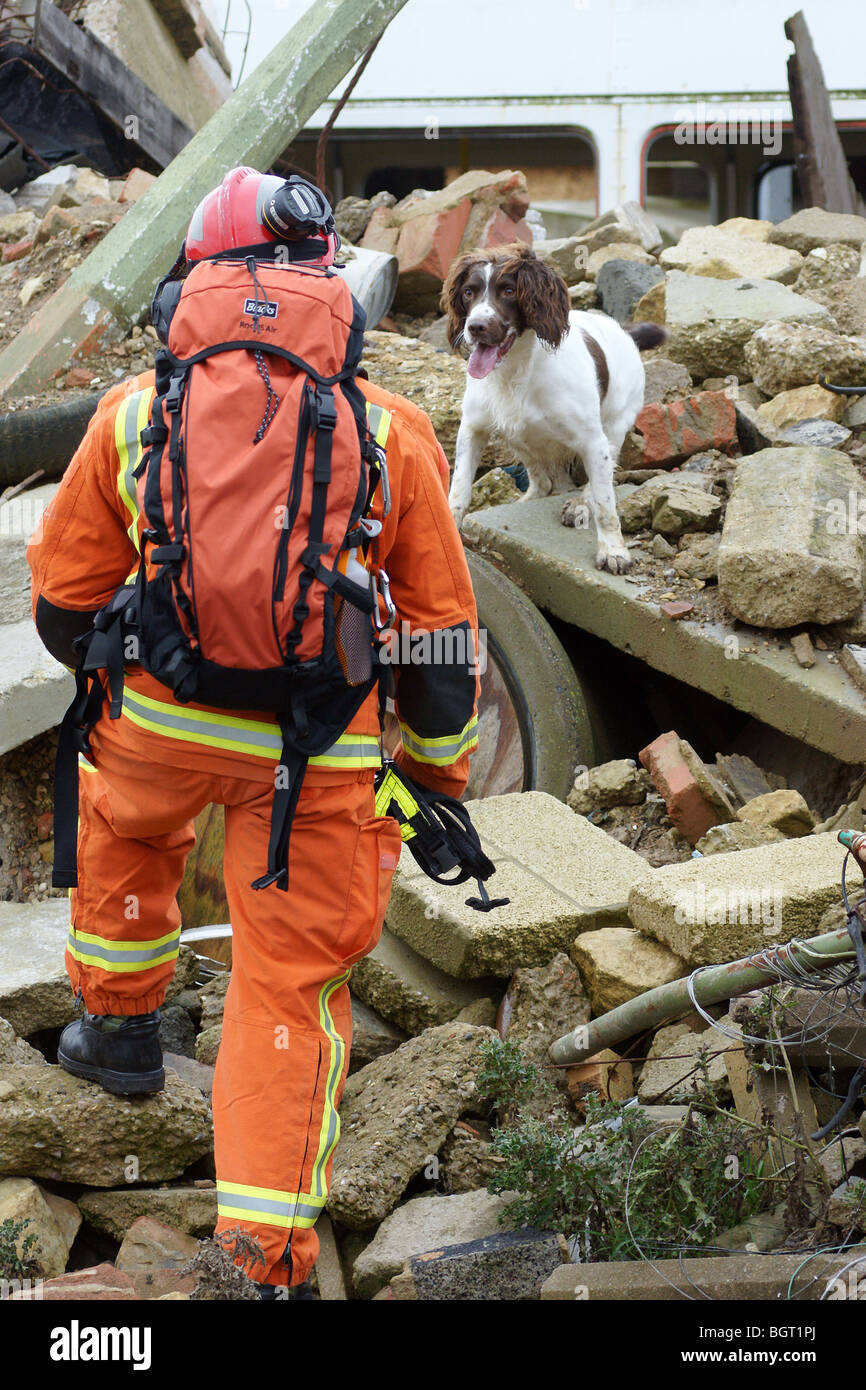 earthquake Search and rescue team Stock Photo Alamy
