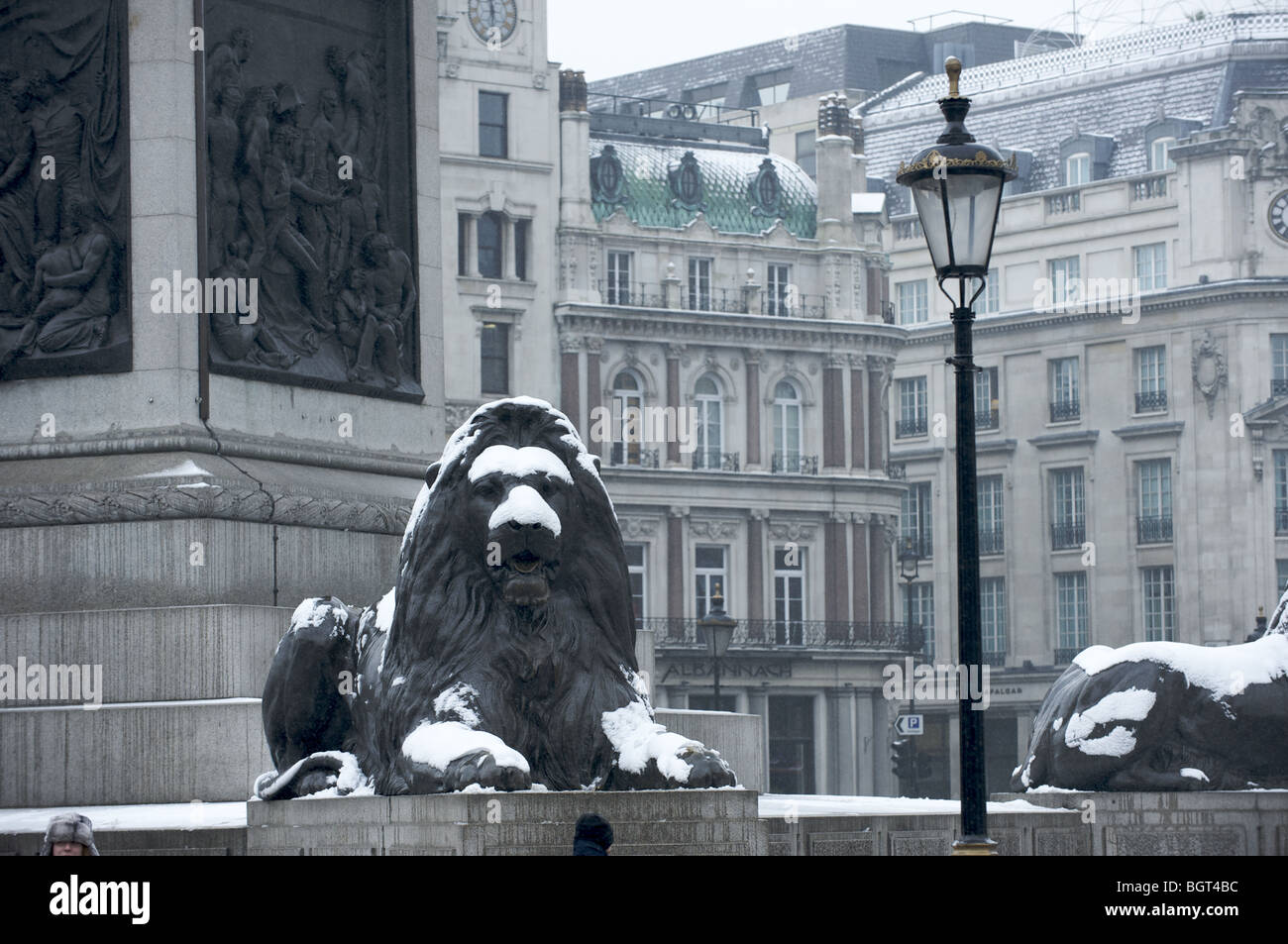 The Lions of Trafalgar Square, London covered in snow Stock Photo