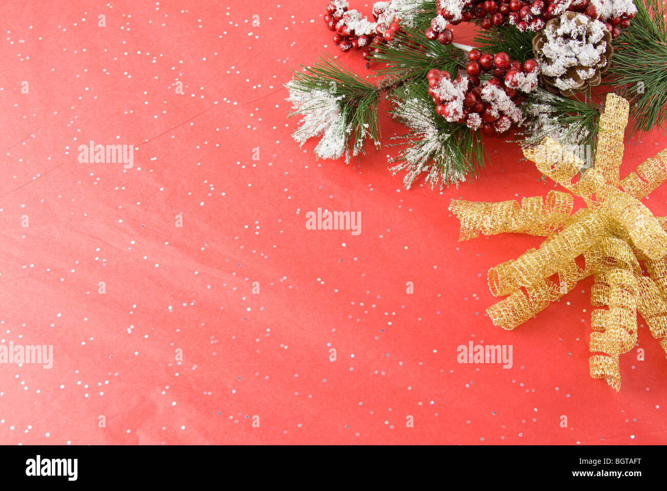 snow covered larch branch with gold foil bow on a textured red background Stock Photo