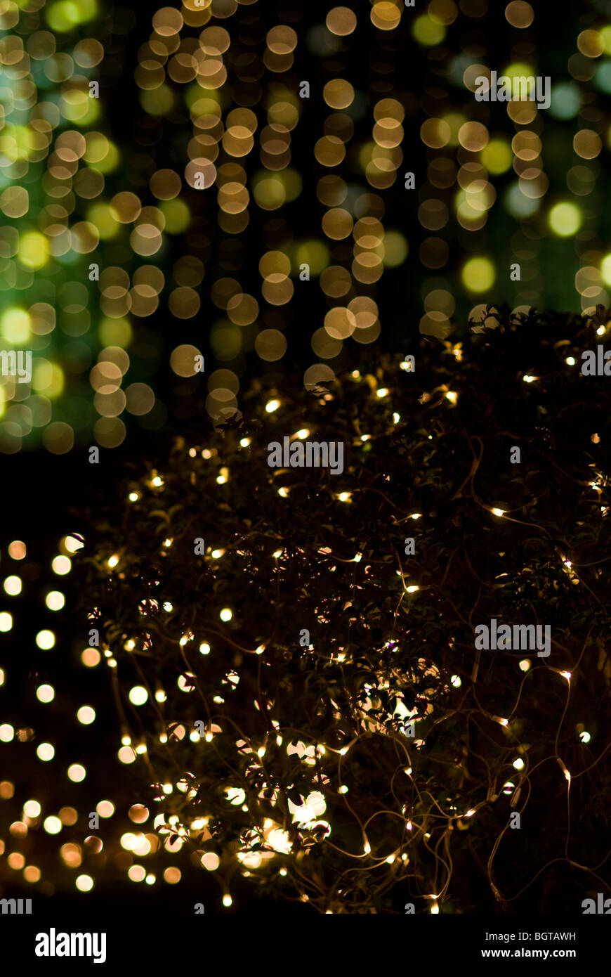 holiaday lights Effects Sparkling  Backgrounds Stock Photo