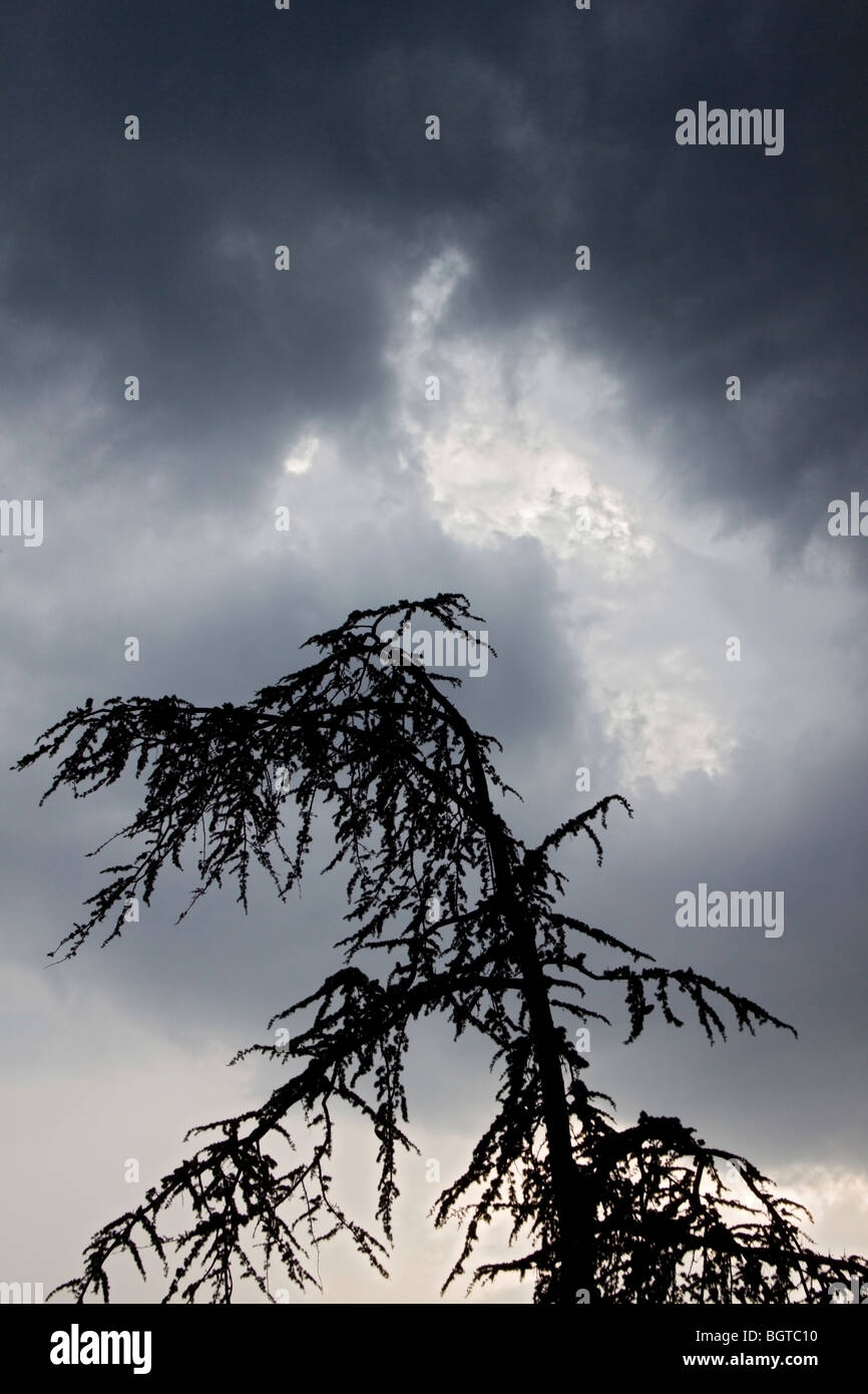 A coming storm Stock Photo Alamy