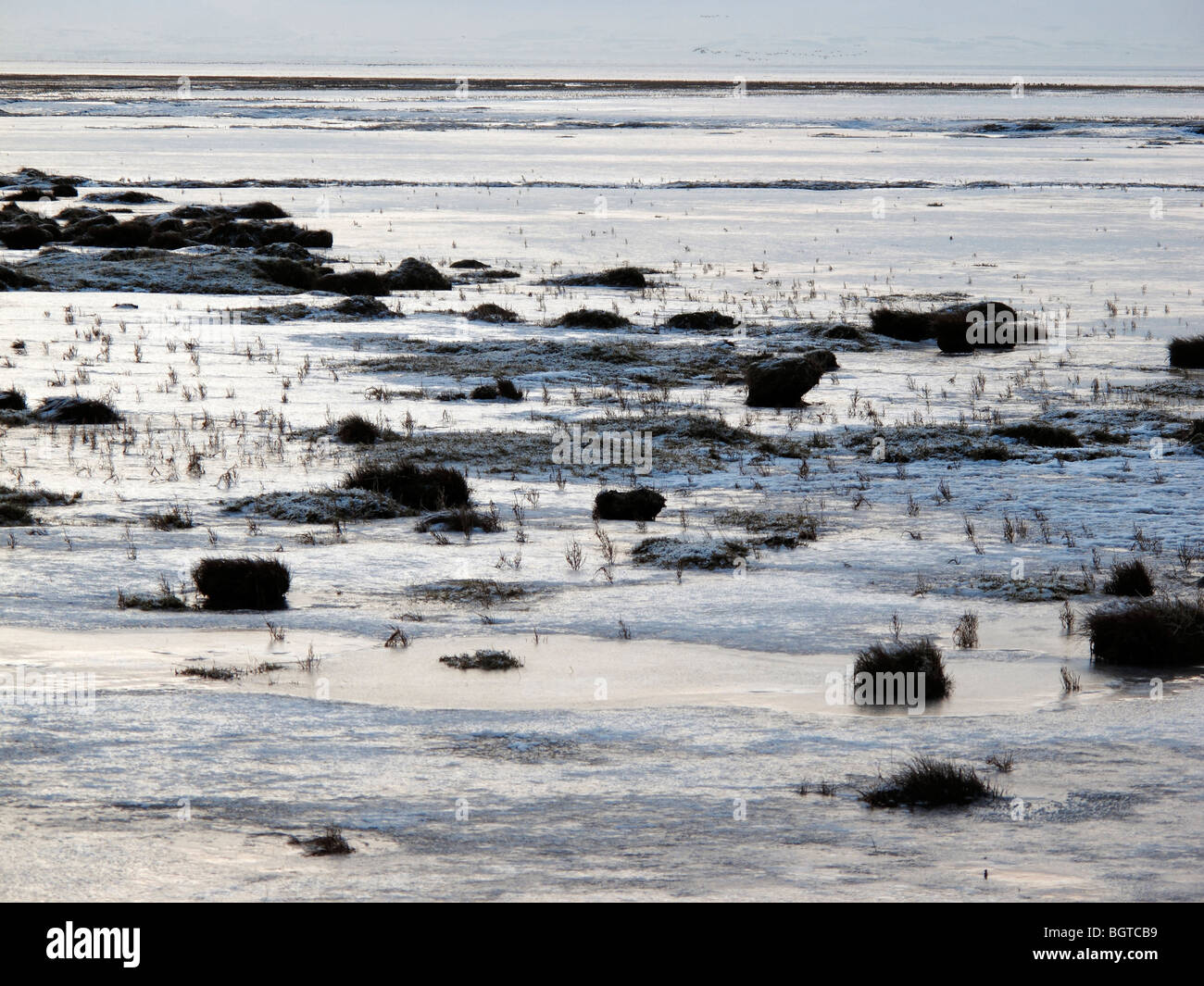 Caerlaverock National Nature Reserve the Solway Firth, south of Dumfries, Scotland. Icy estuary. December 2009 Stock Photo