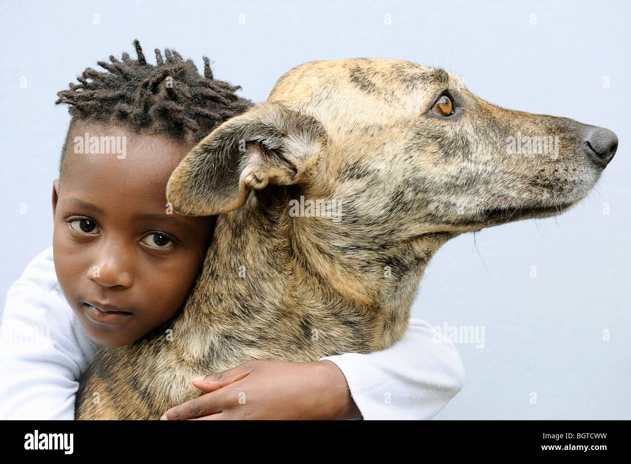 Boy hugging a dog (Africanis),  Cape Town, Western Cape , South Africa Stock Photo
