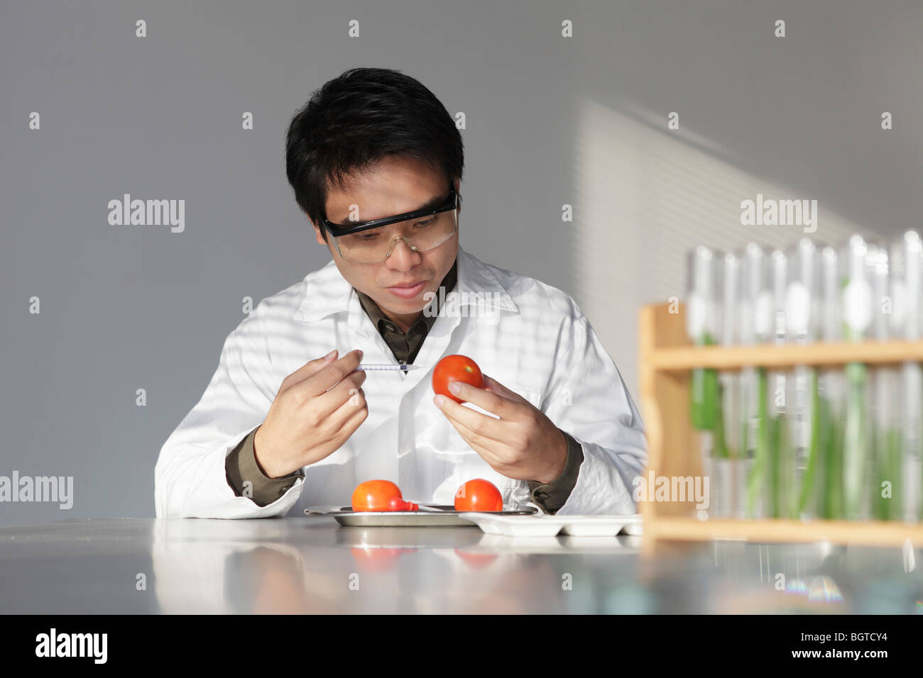 Scientist looking at tomatoes Stock Photo