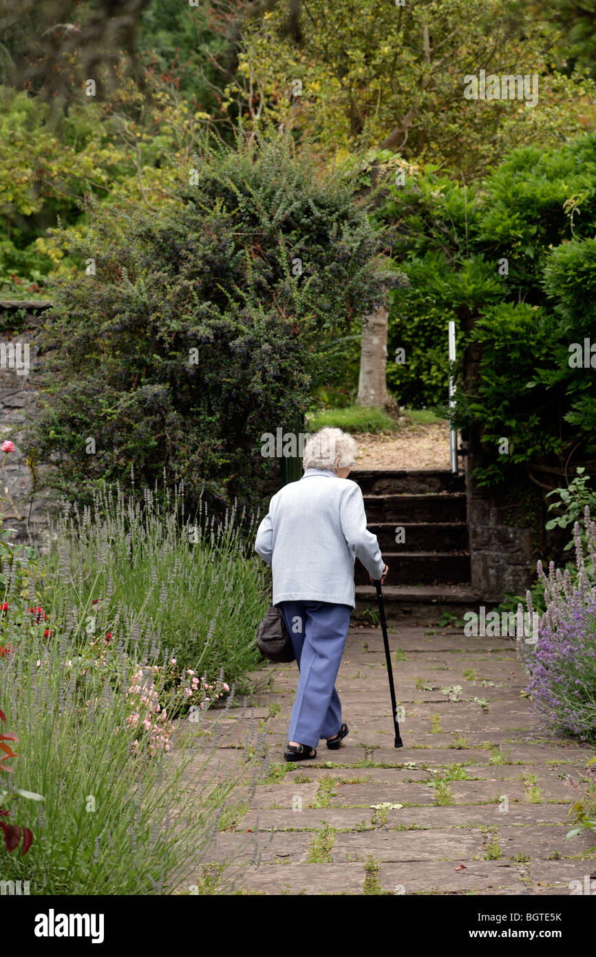 white haired pensioner walking in a garden Stock Photo
