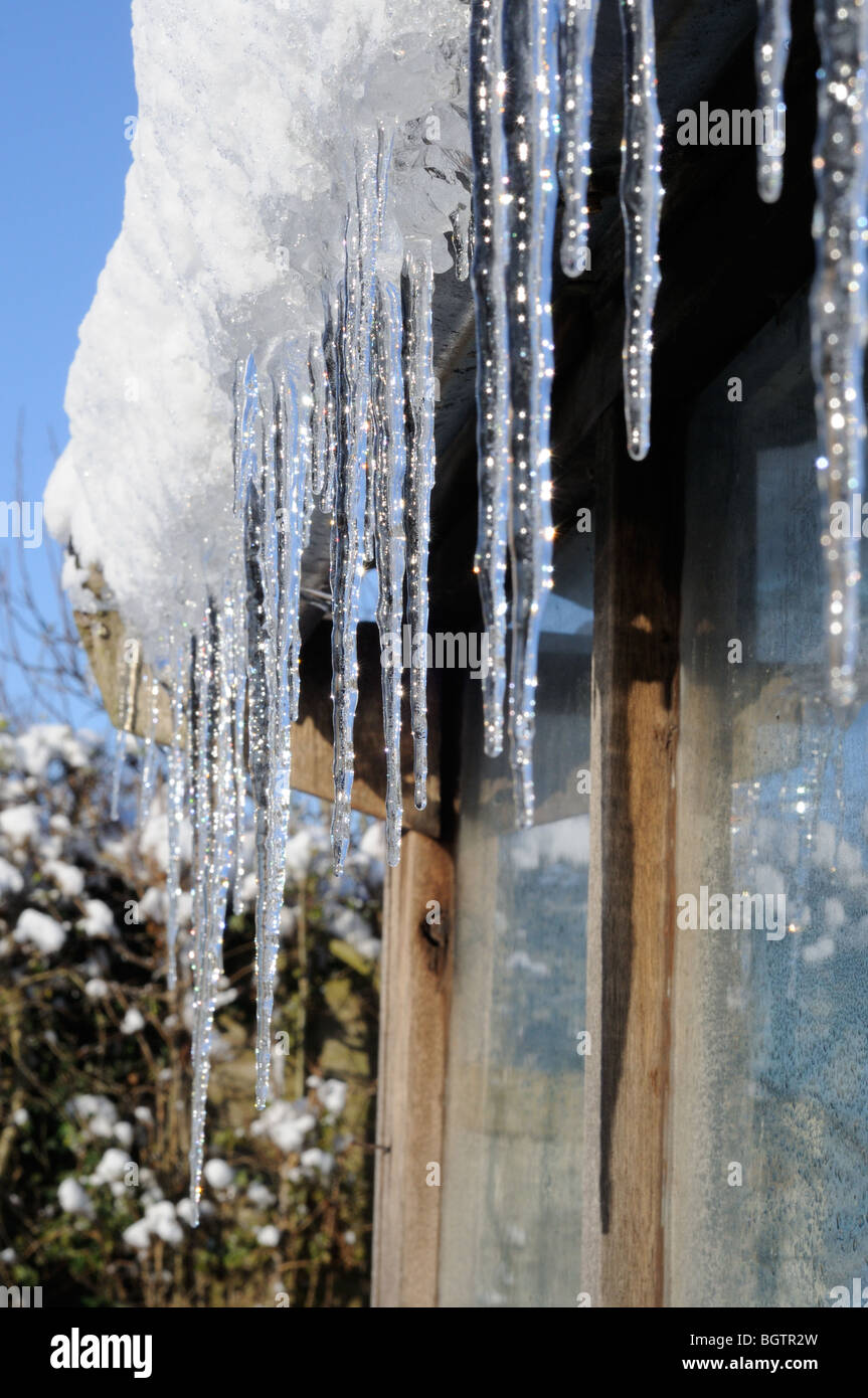 Icicles on greenhouse roof, UK, December, Stock Photo