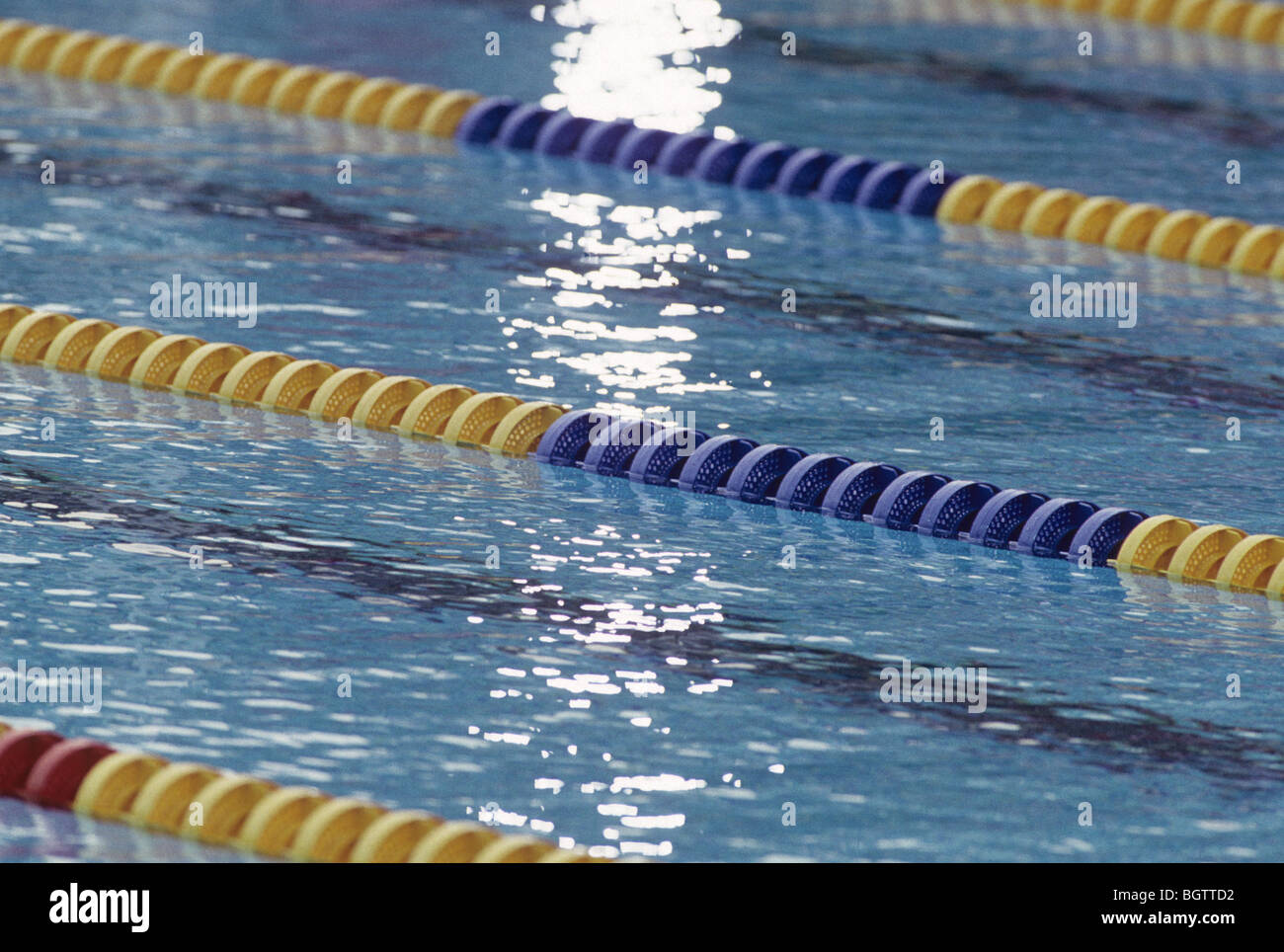 Competitive swimming pool with lane markers Stock Photo Alamy