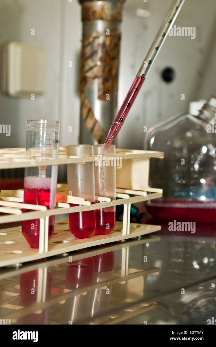 Microbiology Laboratory Cell Culture research Stock Photo Alamy