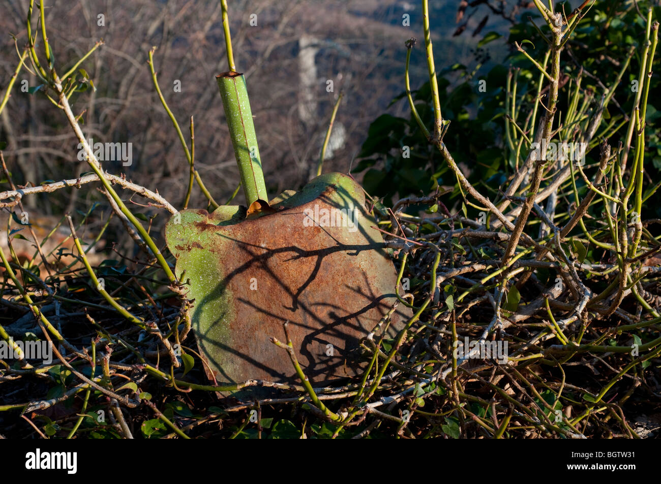 Old gardening spade, Church Notre Dame du Suc, Herault, Southern France Stock Photo