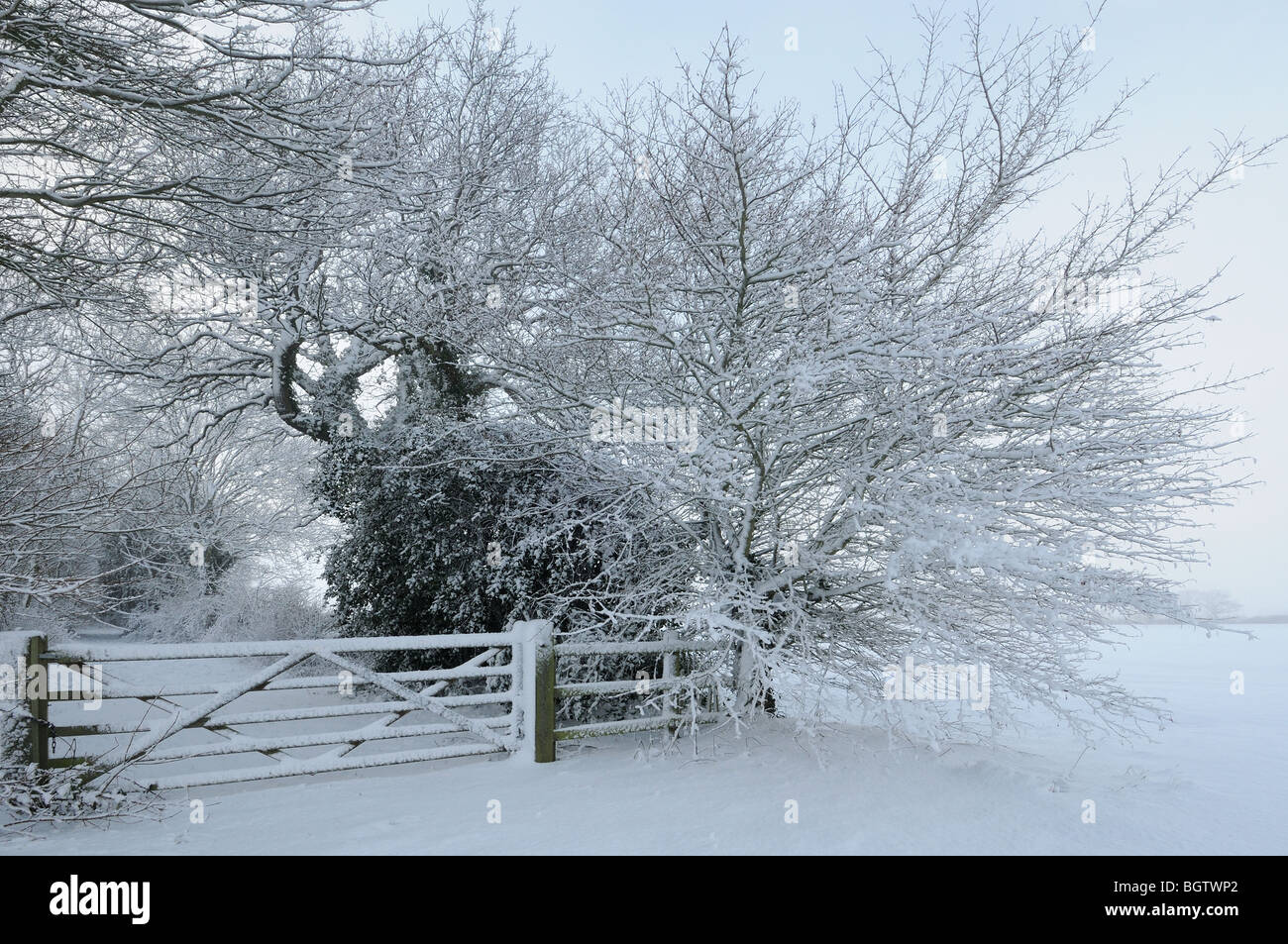 Winter Snow Scene With Farm Gate And Trees Norfolk Uk December Stock Photo Alamy Winter Snow Scene With Farm Gate And Trees Norfolk Uk December Stock Photo Alamy