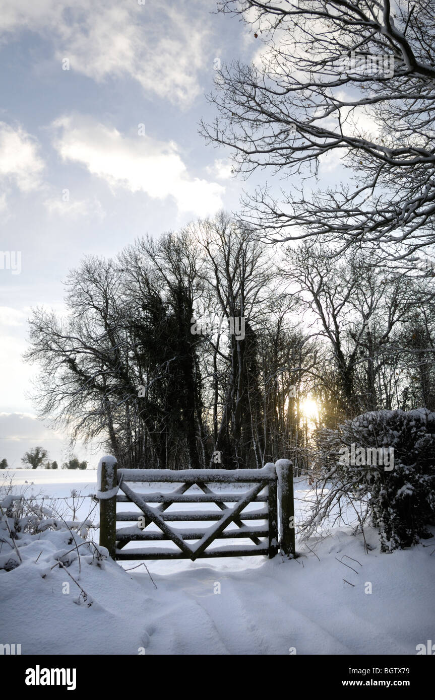 Winter snow scene with Farm gate and trees, Norfolk, UK December Stock ...