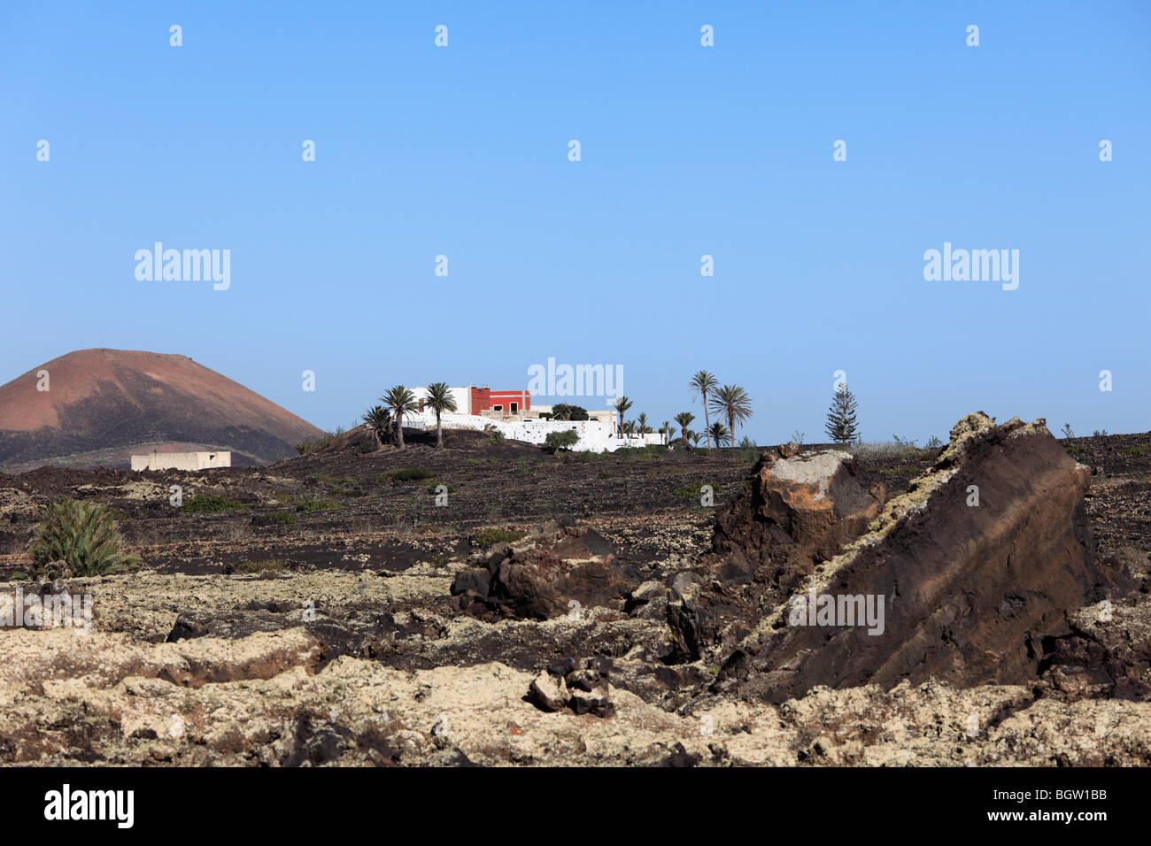Property in a lava field, La Geria, Lanzarote, Canary Islands, Spain, Europe Stock Photo