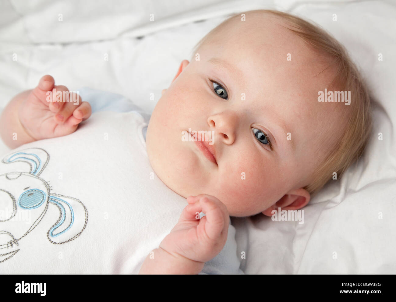 portrait of baby boy Stock Photo