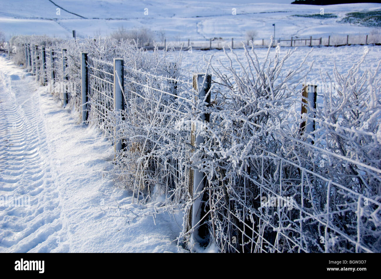 A frosty fence during the Big Freeze, Dec 2009 Stock Photo - Alamy