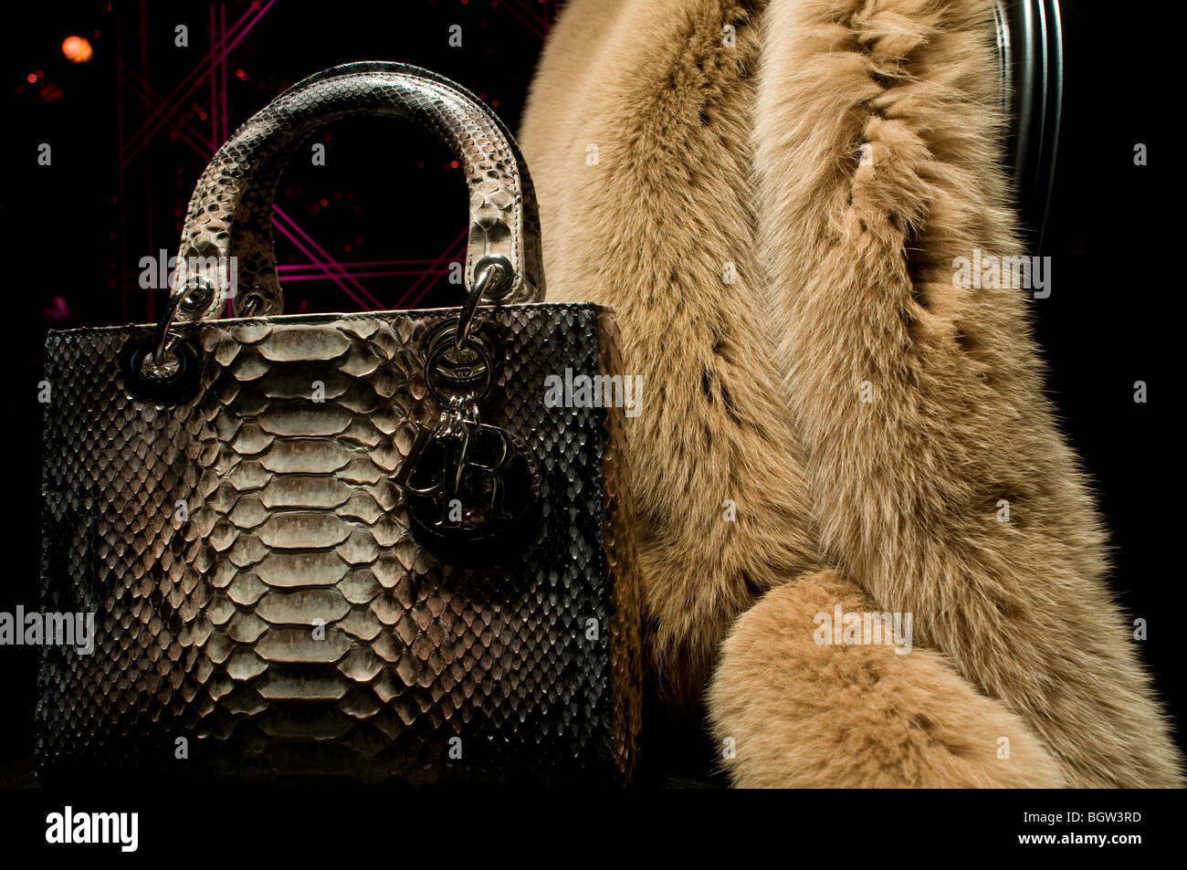 Items made of animal skin on display in a shop window of an elegant boutique in Nove Mesto district Prague Czech Stock Photo
