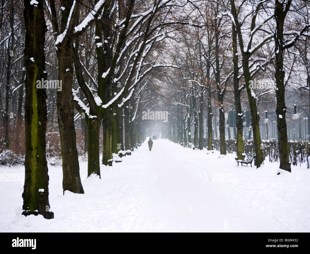 Berlin tiergarten in winter snow hires stock photography and images