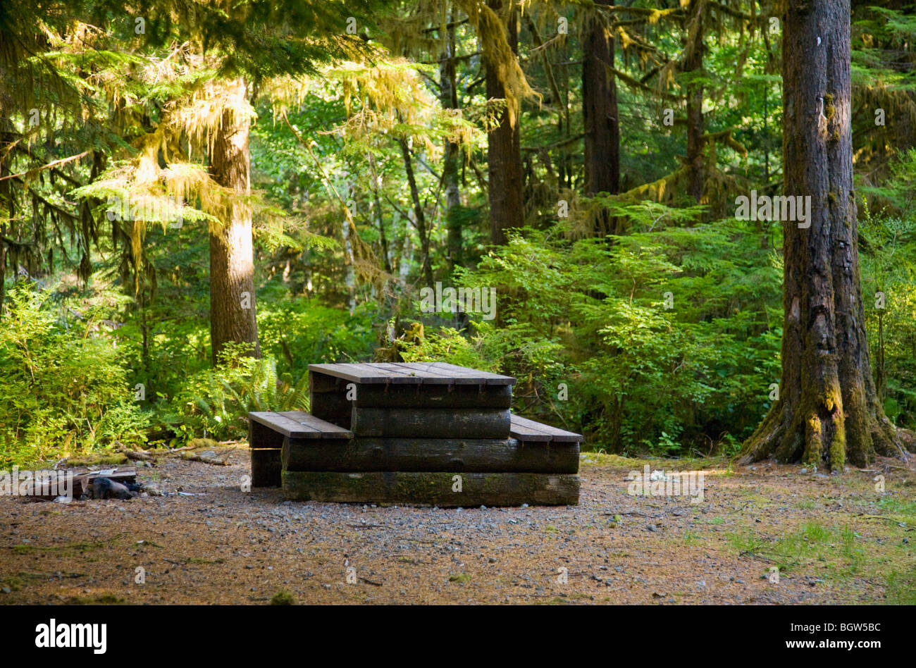 Platform in Elk Falls Provincial Park, British Columbia, Canada Stock ...