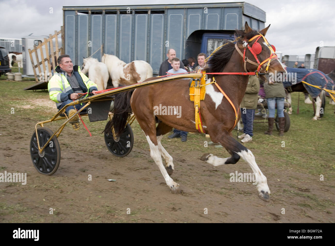 Sulky cart hi-res stock photography and images - Alamy