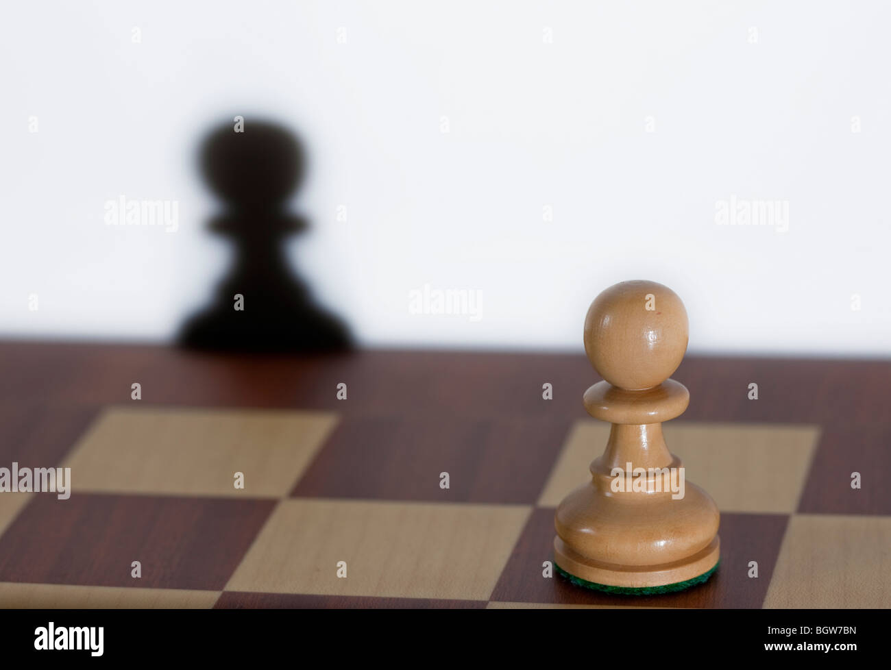 The white pawn chess piece is starting the game on chessboard Stock Photo -  Alamy