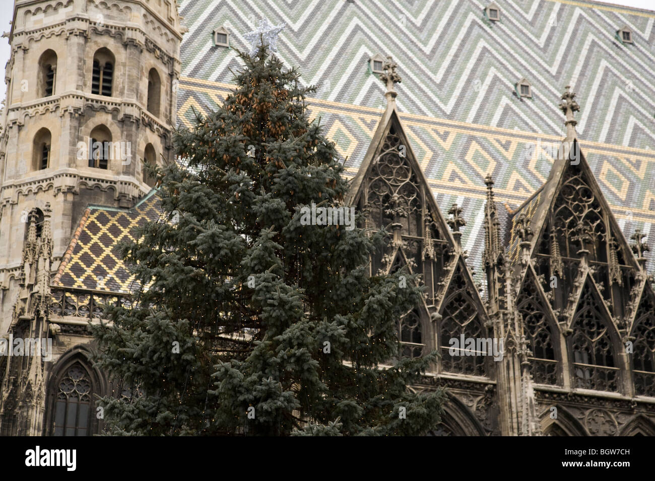 Christmas tree in front of Vienna cathedral, in St Stephen's square