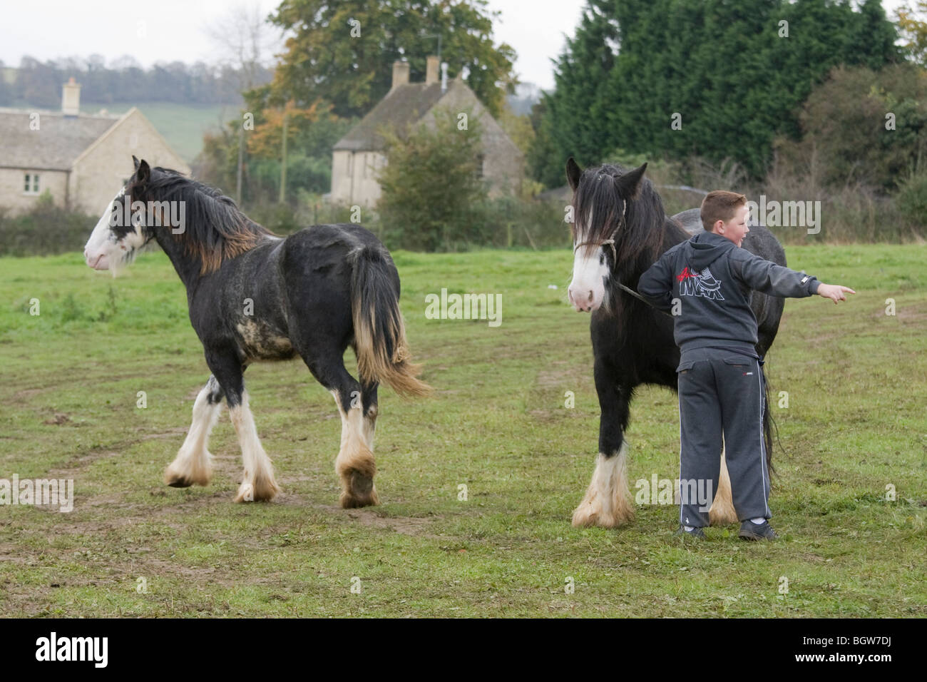 A boy with two Cobb horses at the biannual Stow Fair held in Stowon