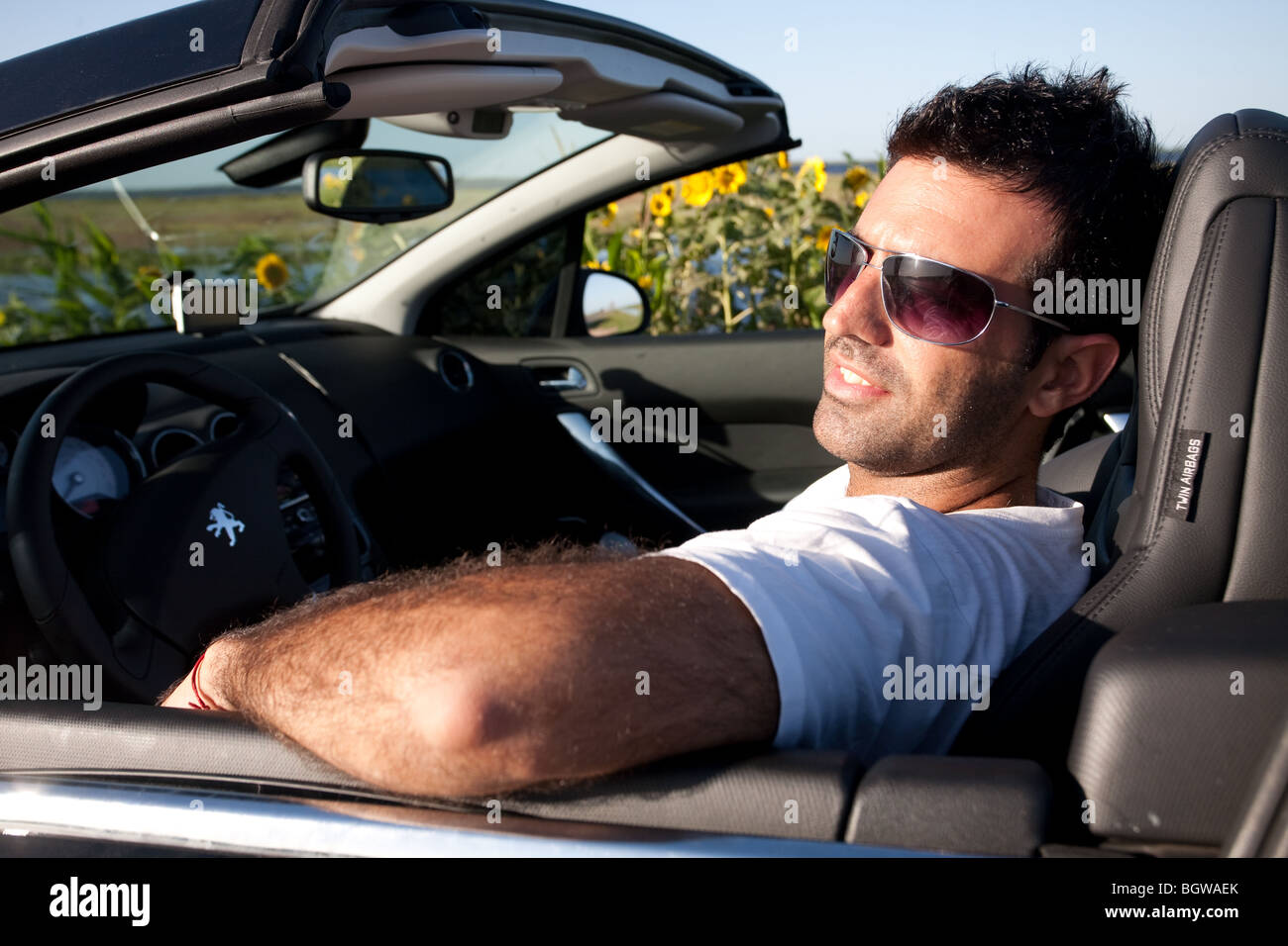 A cool man on a convertible car driving near a sunflower field Stock Photo