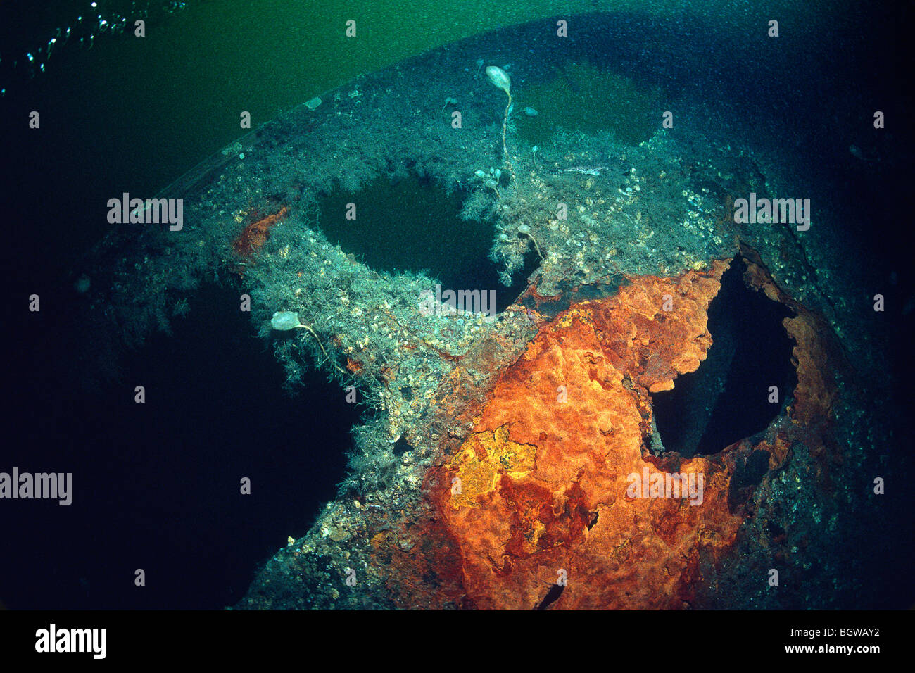 Wreck of the ocean liner Empress of Ireland underwater in the St