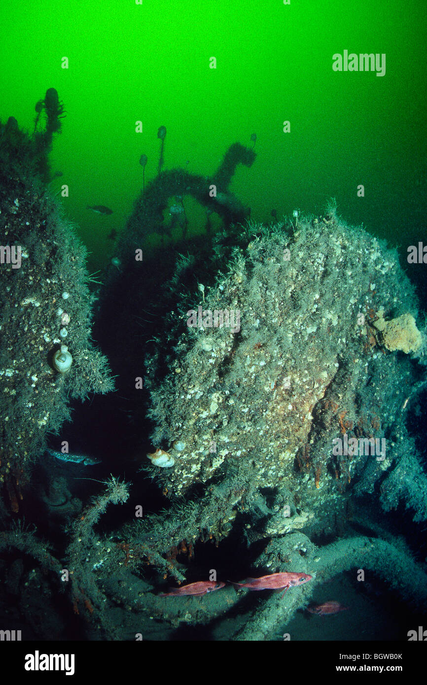Wreck of the ocean liner Empress of Ireland underwater in the St