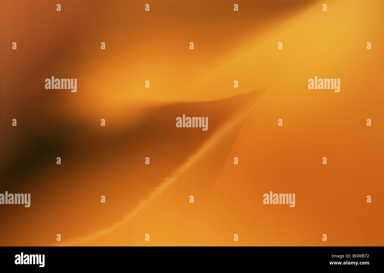 Mix of orange hi-res stock photography and images - Alamy