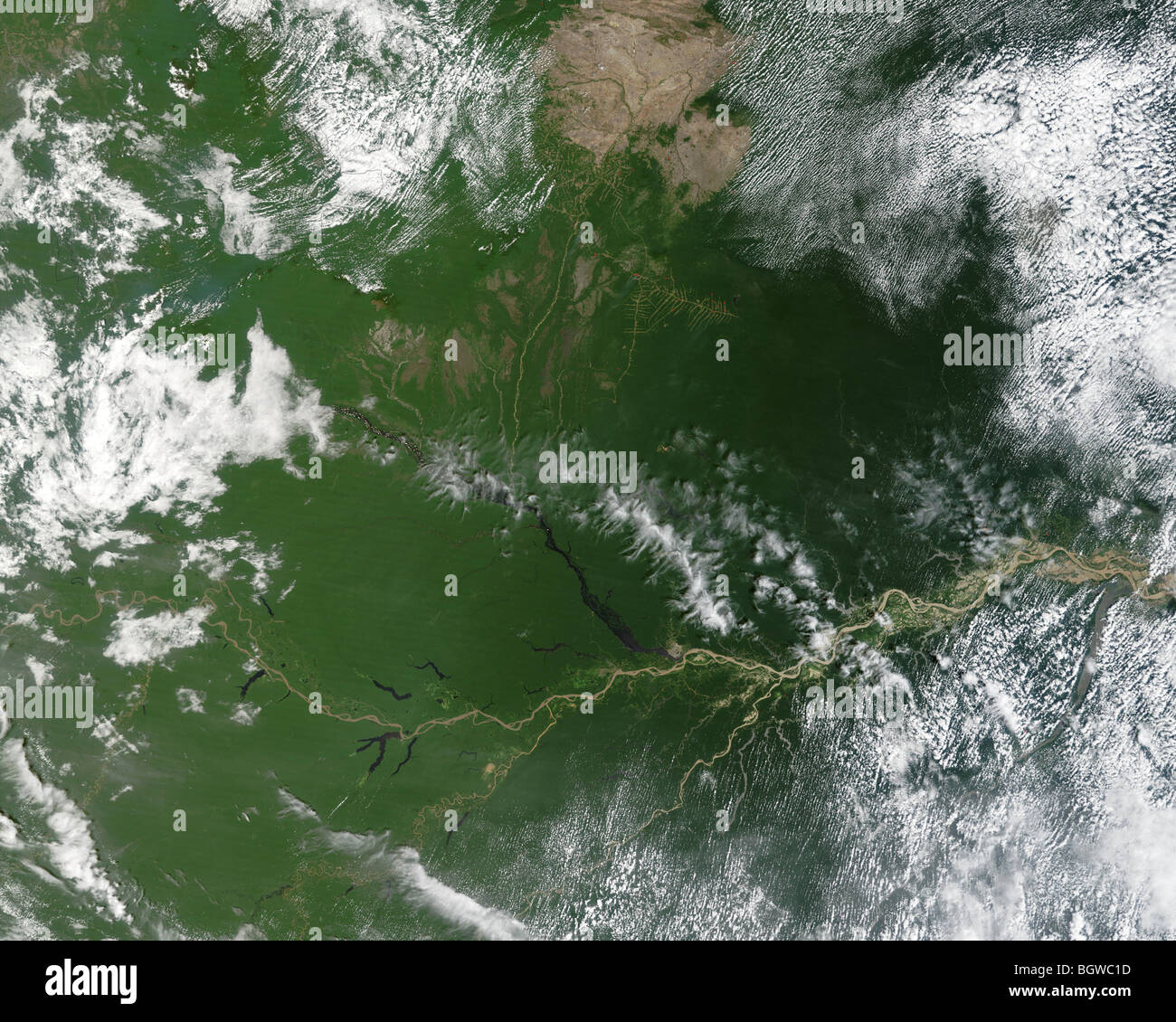 Fires in the Amazon Basin of Brazil (visible as red squares at 100 %) Satellite: Terra (MODIS) credit NASA Stock Photo