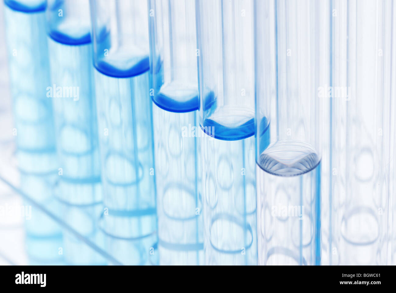 Row of glass tubes with liquid on Test Tube Racks,Closeup. Stock Photo