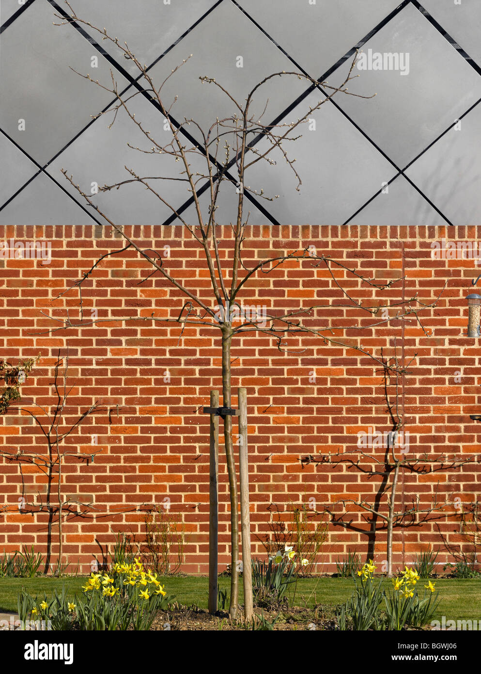 THE ARC SHOPPING CENTRE, BURY ST EDMUNDS, UNITED KINGDOM, VERETEC WITH MICHAEL HOPKINS Stock Photo