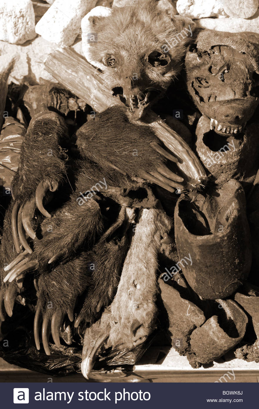 Black Magic  Africa Voodoo Stock Photos Black Magic  