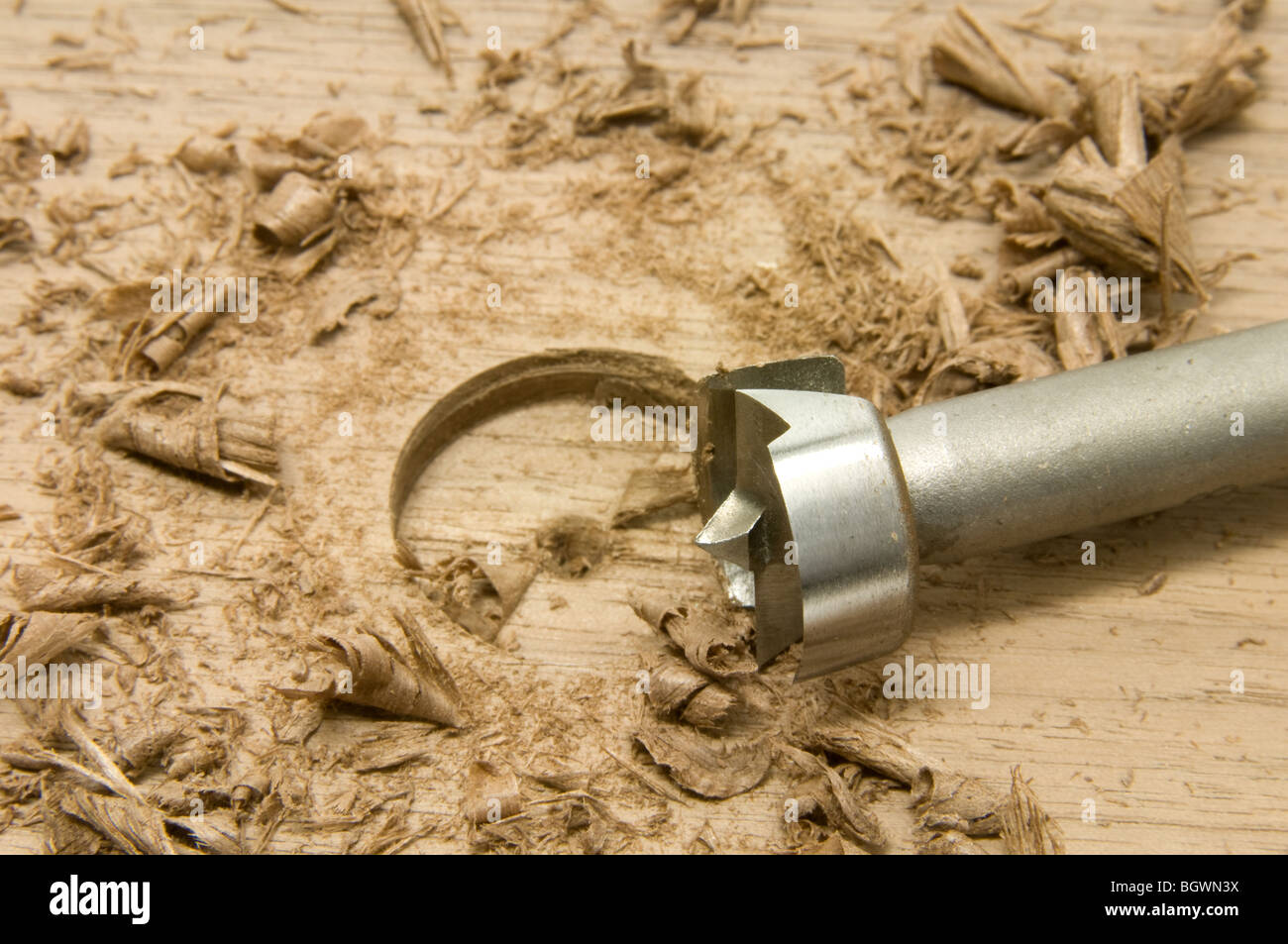 Forstner Bit drilling with shavings Stock Photo Alamy