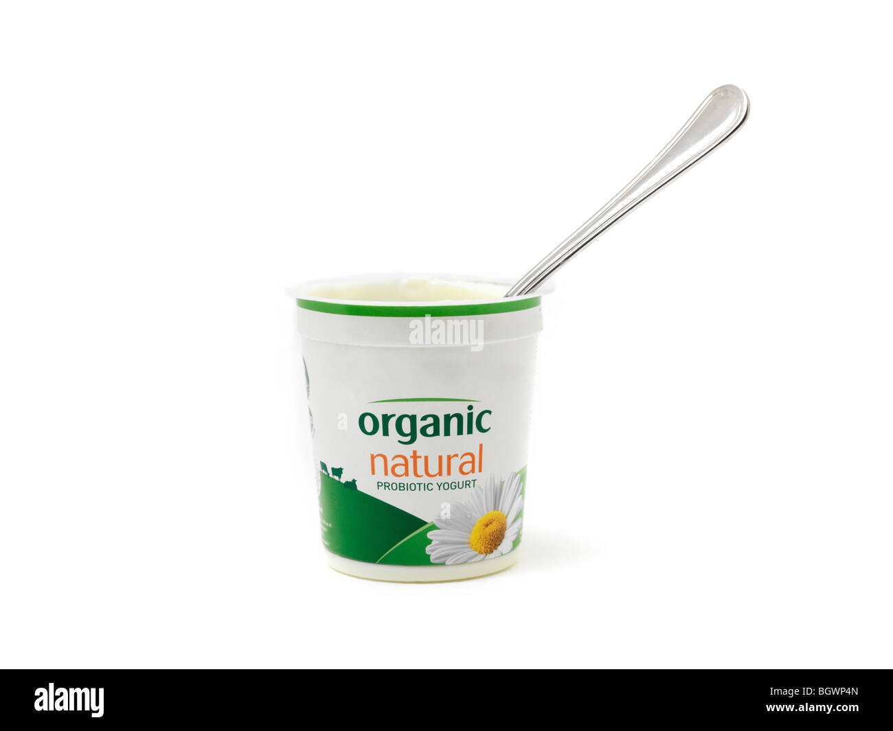 A Pot of Natural Probiotic Yogurt Stock Photo