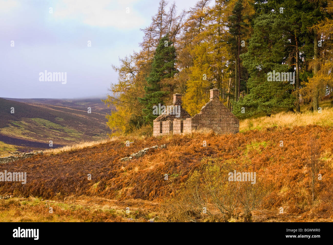Derelict Crofters Cottage at the Bridge of Dye, Scotland Stock Photo