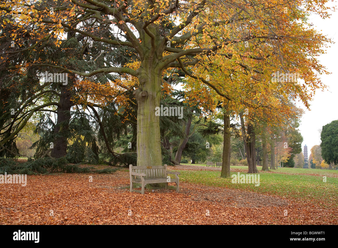 Autumn landscape at Royal Botanic Gardens Kew, England, Surrey, UK Stock Photo