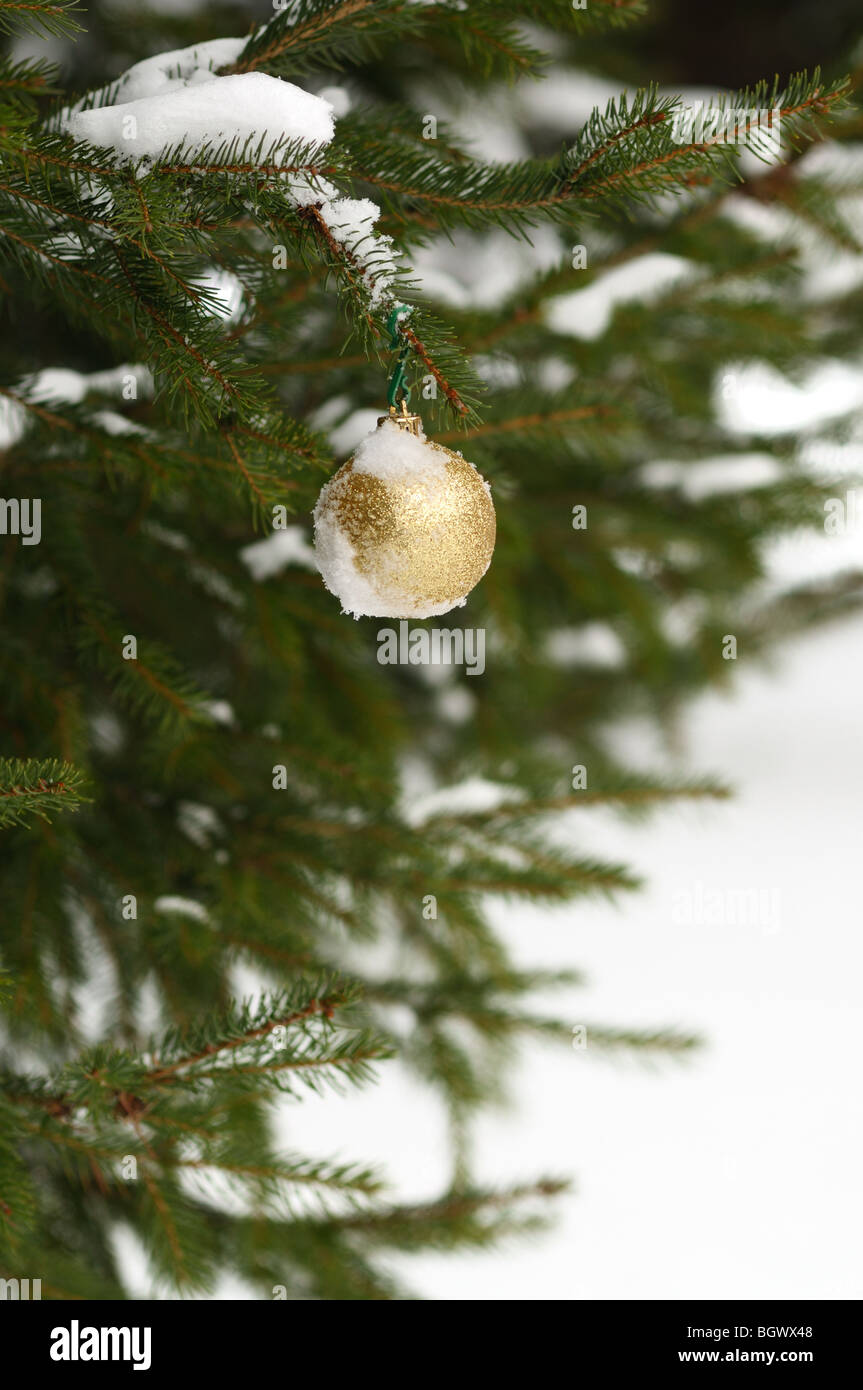 Single shiny christmas tree hi-res stock photography and images - Alamy