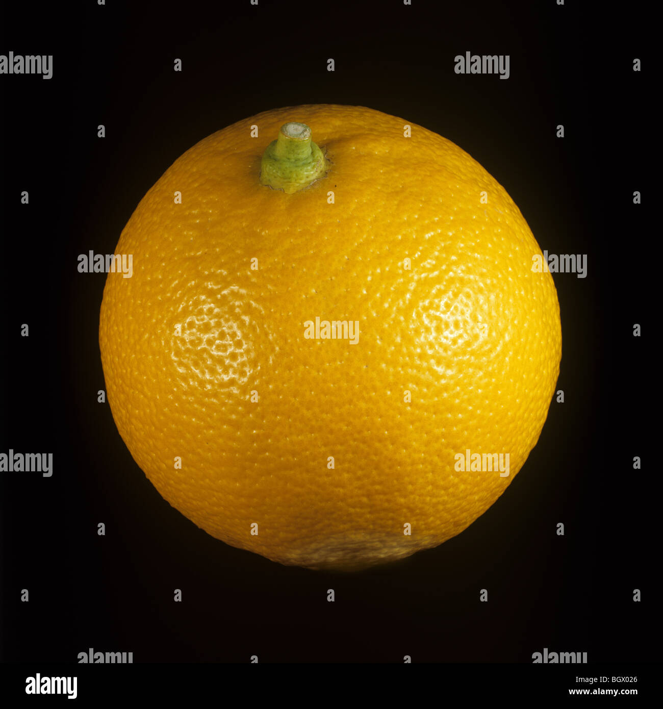 Whole bergamot (Citrus bergamia) fruit Stock Photo