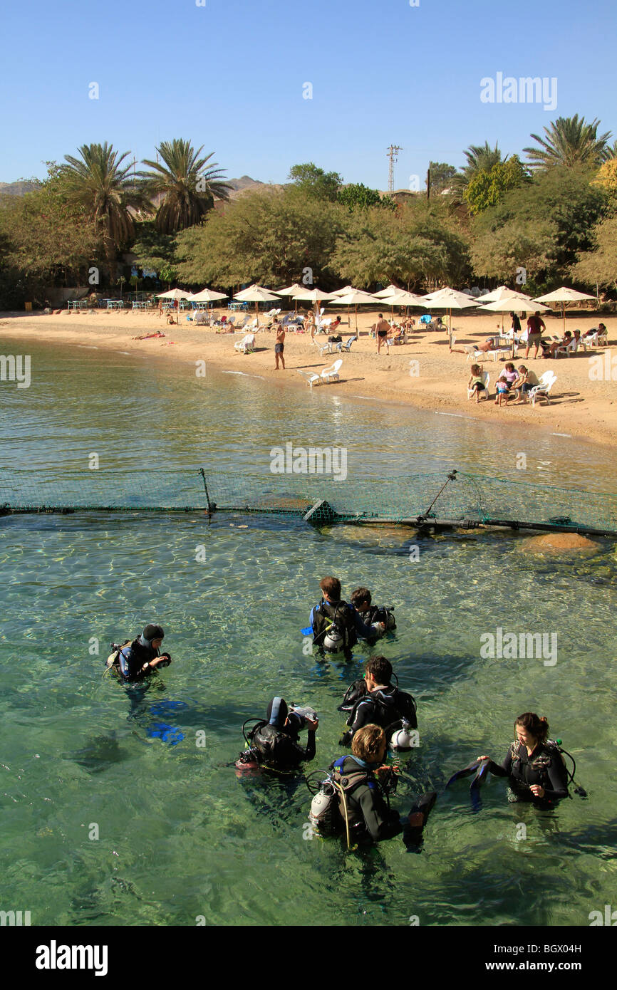 Israel, diving with the dolphins at the Dolphin Reef beach in Eilat Stock  Photo - Alamy