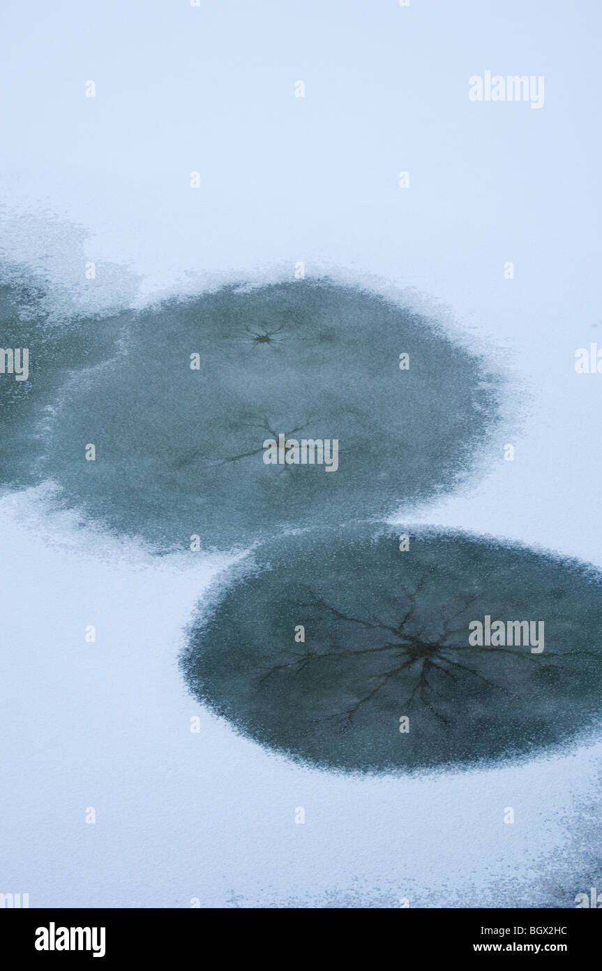 Ice circles caused by stones being dropped into a frozen lake. Stock Photo