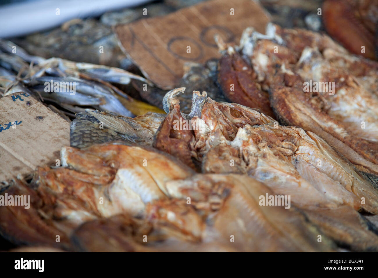 The Mercado Central in the Baixa district, dried fish, Maputo, Mozambique Stock Photo