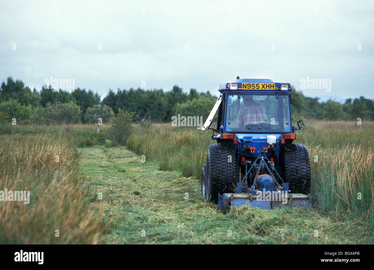 Cut Rushes A tractor cutting rushes on Glasson Mosses National Nature Reserve ...